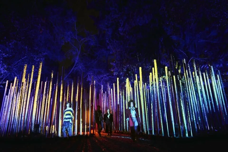 Recorrido detallado de Light Cycles, experiencia en CDMX.