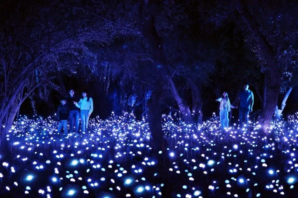 Ambiente Crystal Groove en Light Cycles Chapultepec.