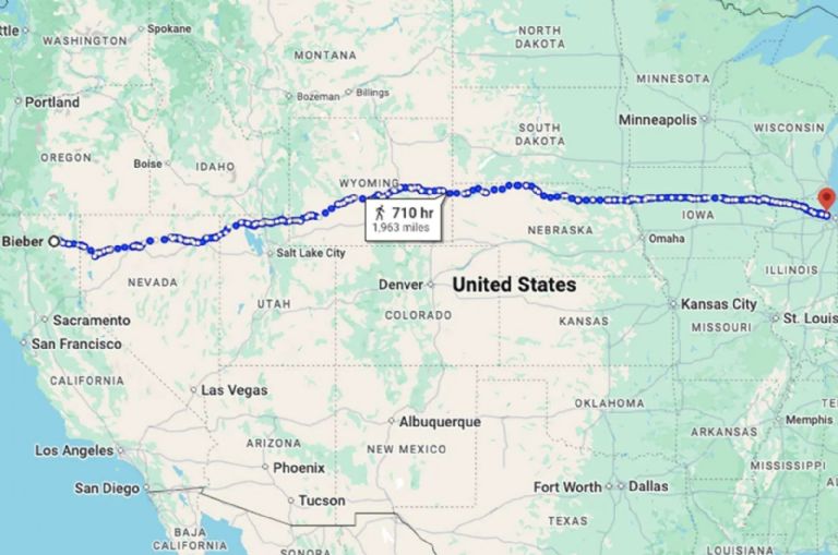Un perro llamado Opie, que se perdió en una tormenta en California, fue encontrado a miles de kilómetros de distancia gracias a un microchip