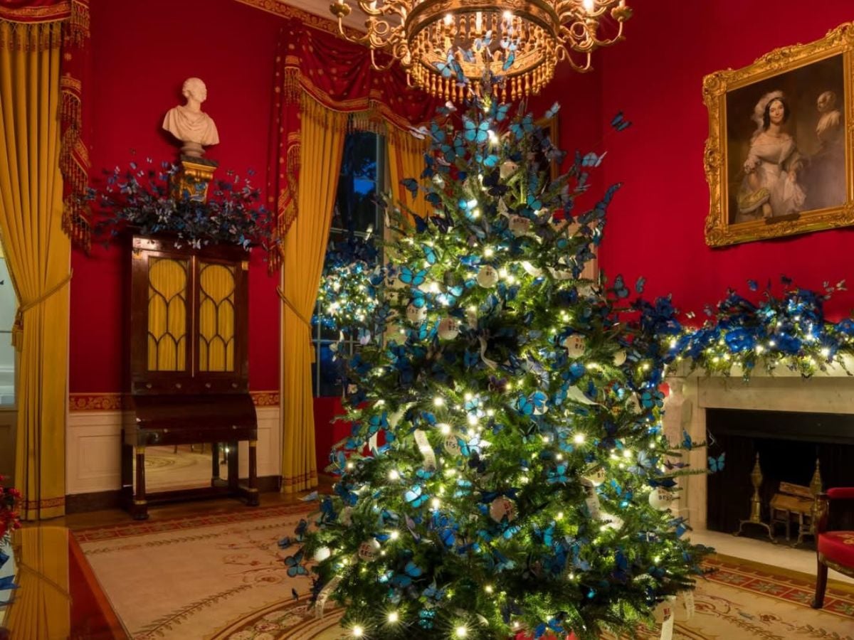 La Sala Roja celebra la transformación con 10.000 mariposas azules. | Reuters