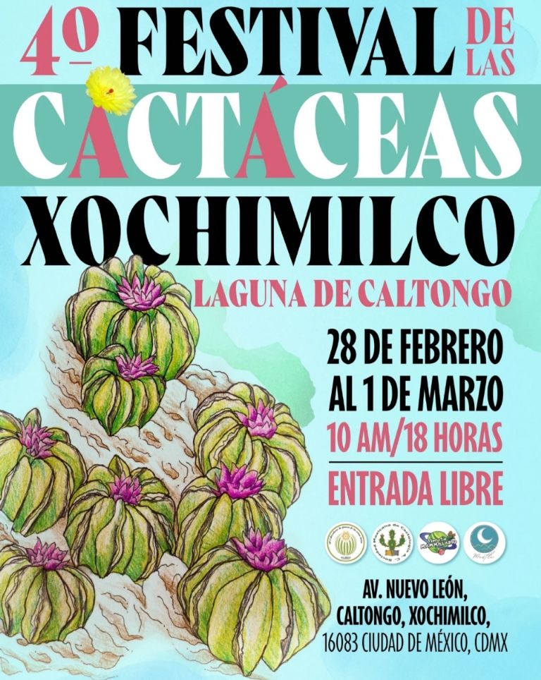 Puestos de venta de cactus y suculentas en el Festival de Cactáceas.