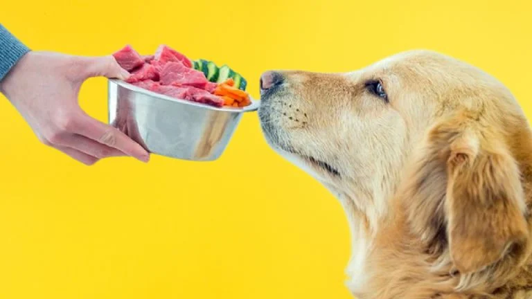 Caja de alimento Kirkland Signature para cachorros