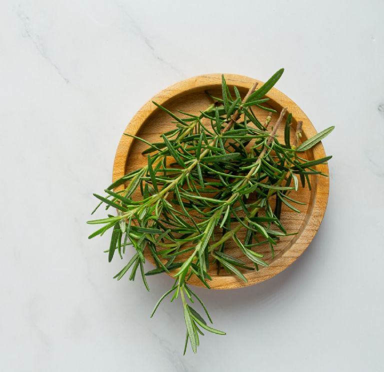 Ramas de romero fresco en un recipiente