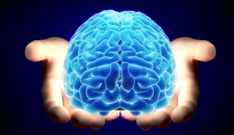 Ilustración representativa de la complejidad cerebral