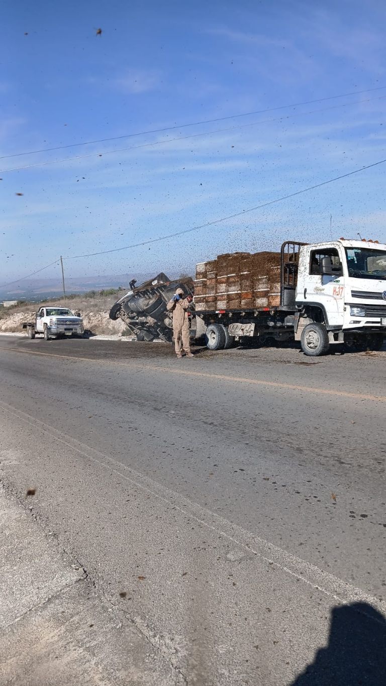 Miles abejas Africanas sueltas tras accidente en NL.