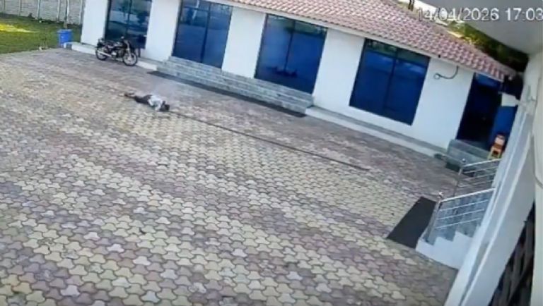 Muerte por electrocución al espantar mono en hotel.