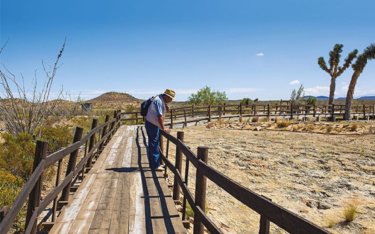 Paisaje prehistórico en General Cepeda