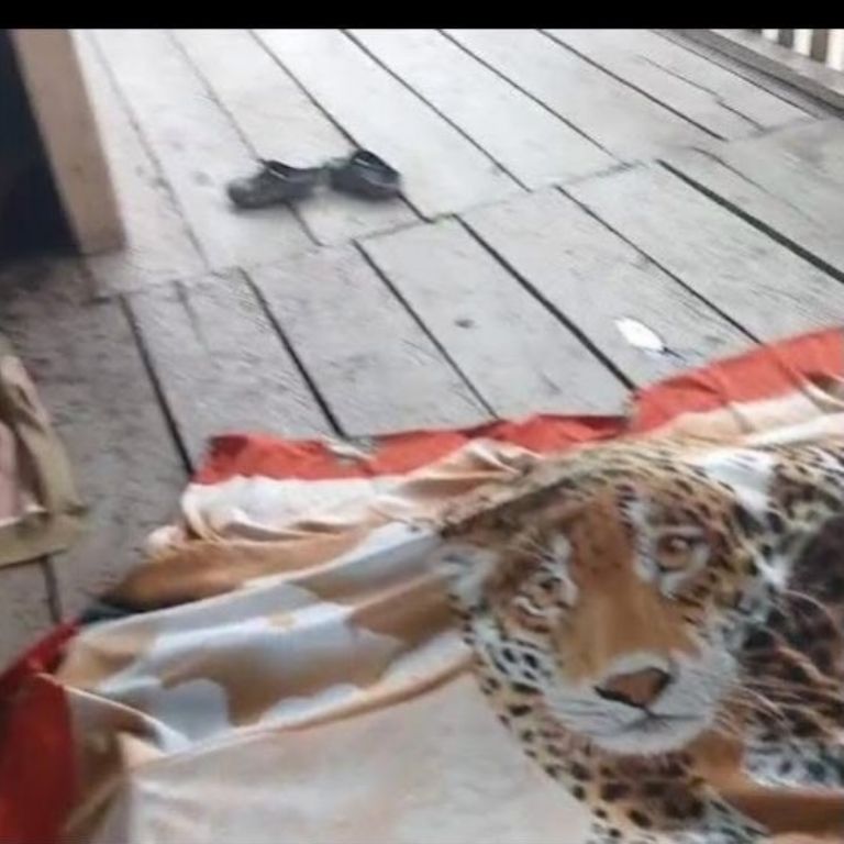 Imagen ilustrativa de la investigación