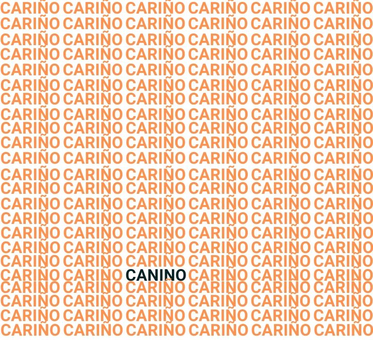 Solución al acertijo visual: palabra CANINO resaltada