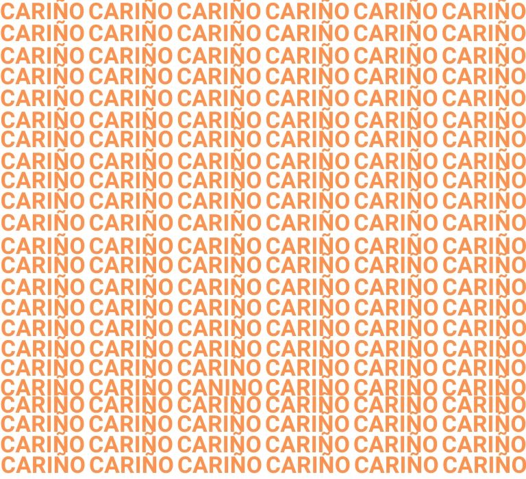 Imagen de un acertijo visual con palabras ocultas