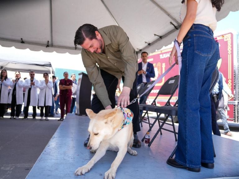 Tijuana: Bienestar animal móvil y gratuito.