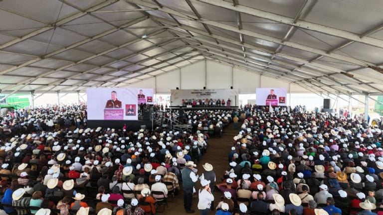 Productores de cebada en Hidalgo reciben apoyo gubernamental