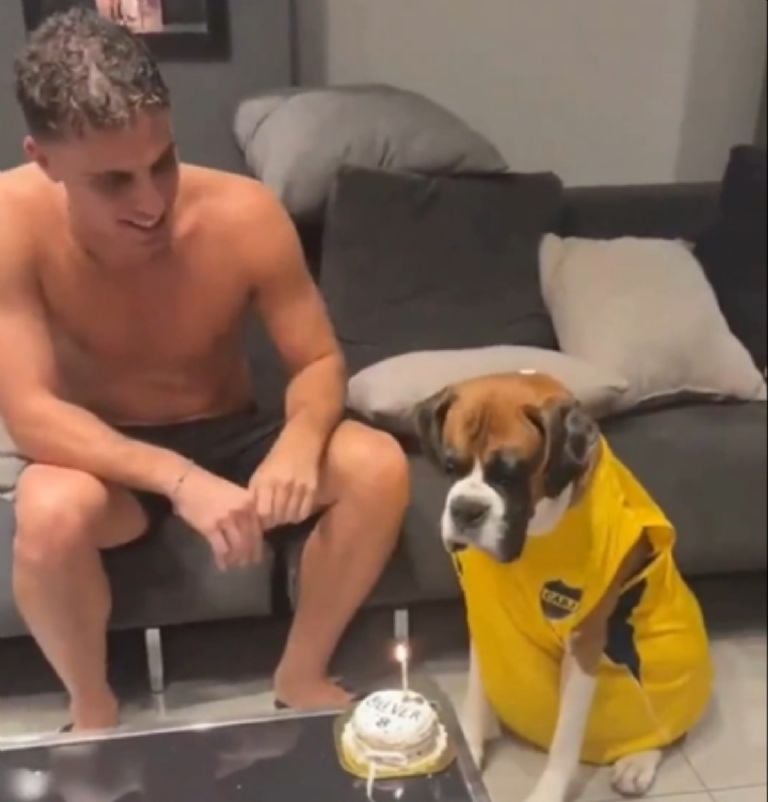 Boxer Oliver, el perrito que enternece al soplar su vela.