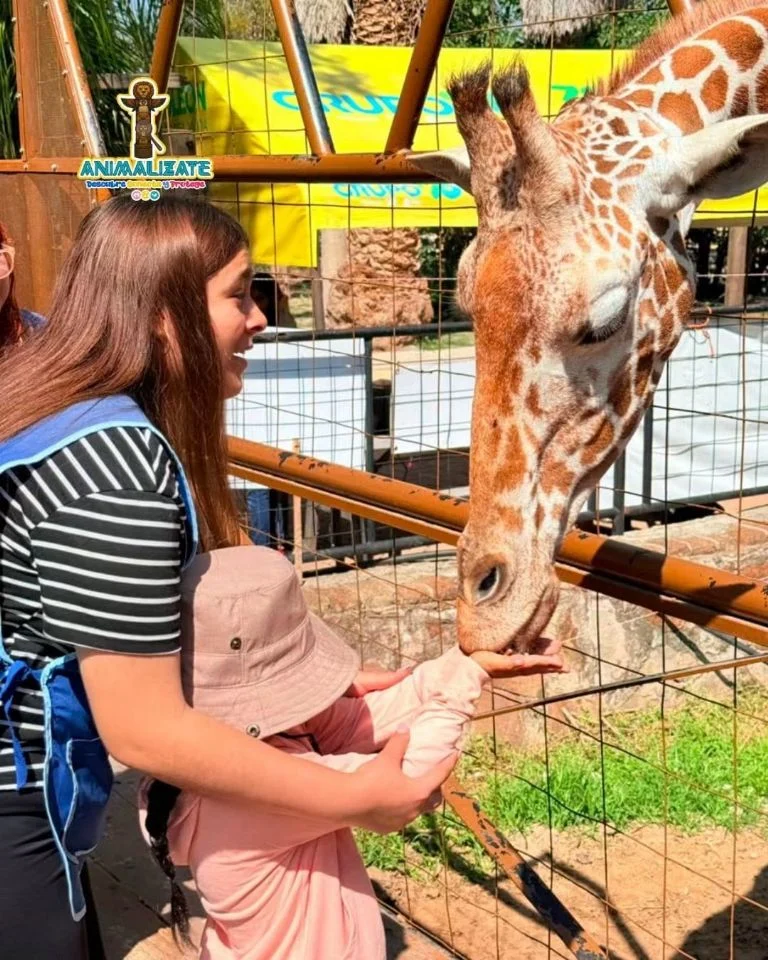 Incidente en el Zoológico de León