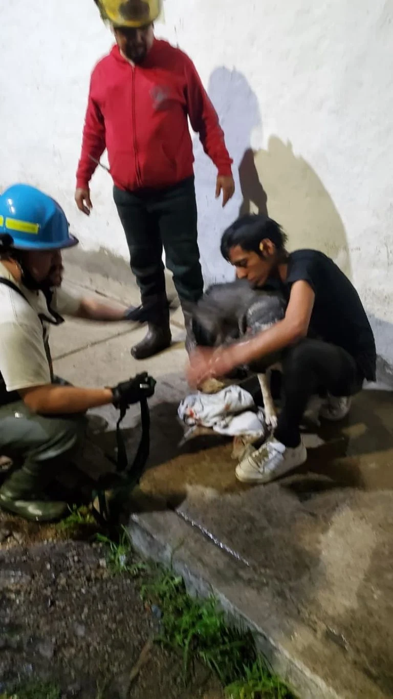 Daños causados por las lluvias en Guadalajara